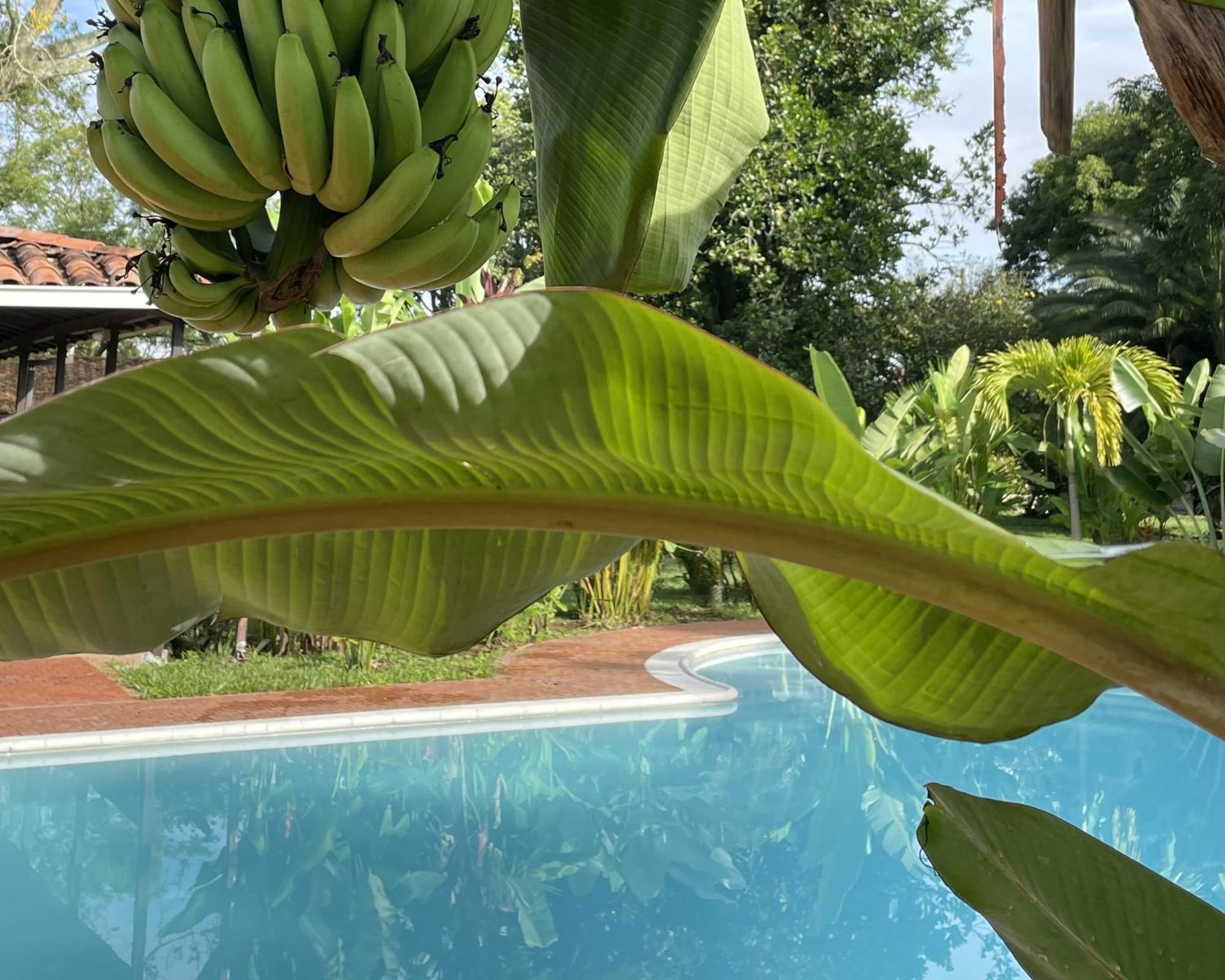 Muchosur Quimbaya Hotel Ngoại thất bức ảnh